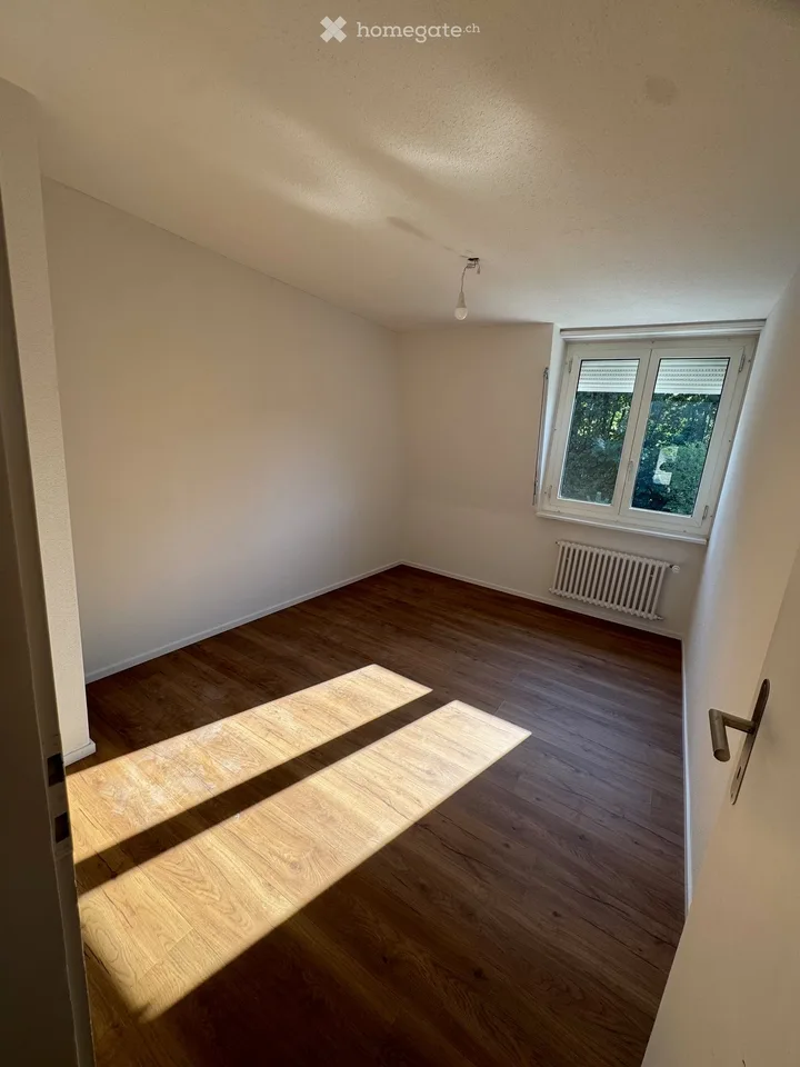From October 1, 2026, or by agreement, we rent a completely NEWLY renovated single-family house