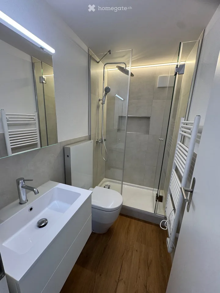 From October 1, 2026, or by agreement, we rent a completely NEWLY renovated single-family house
