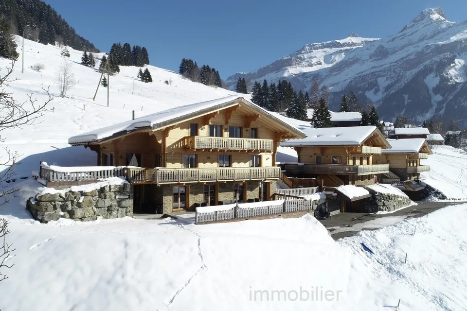 Chalet with two apartments – photo 13 of 13