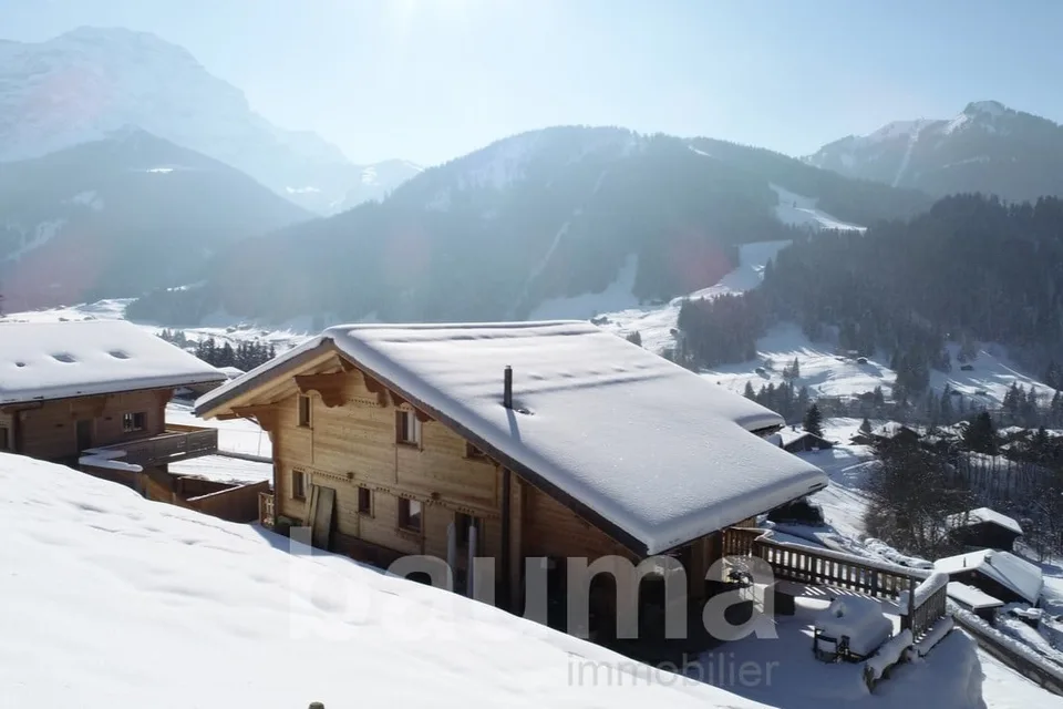 Chalet with two apartments – photo 6 of 13
