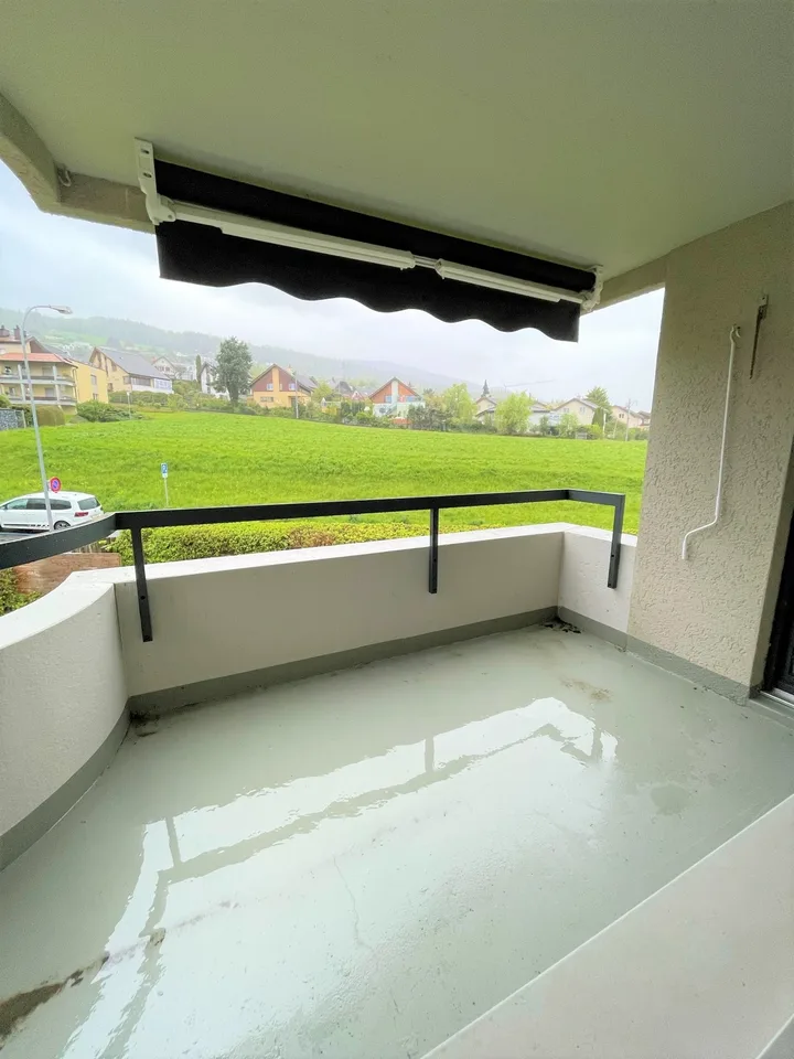 Pure living: renovated apartment with style seeks new occupants