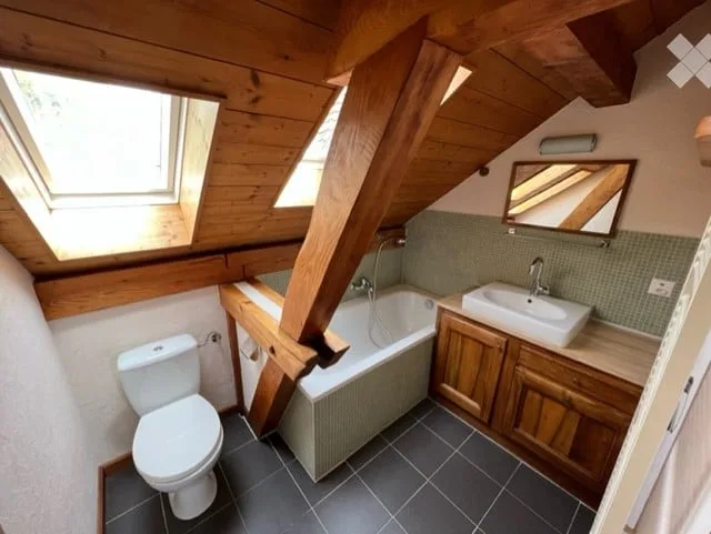 Attic in Céligny