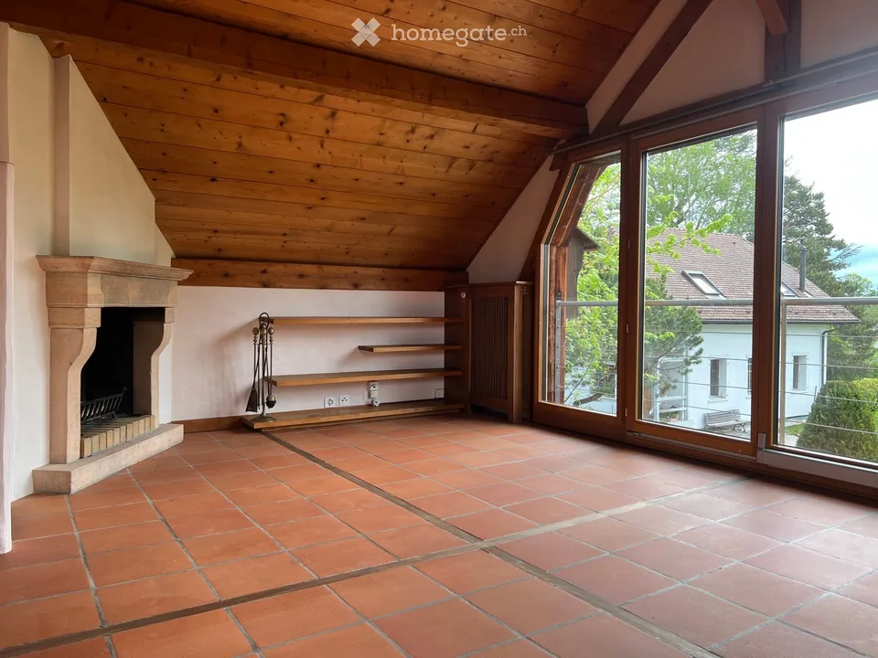 Attic in Céligny