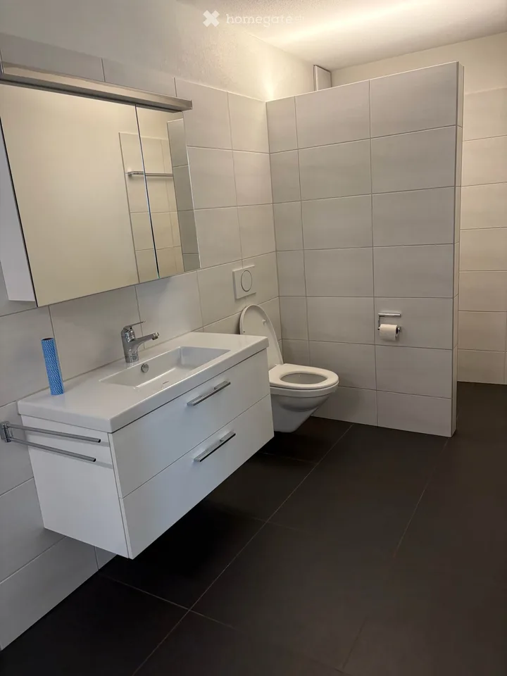 Appartamento a Schenkon