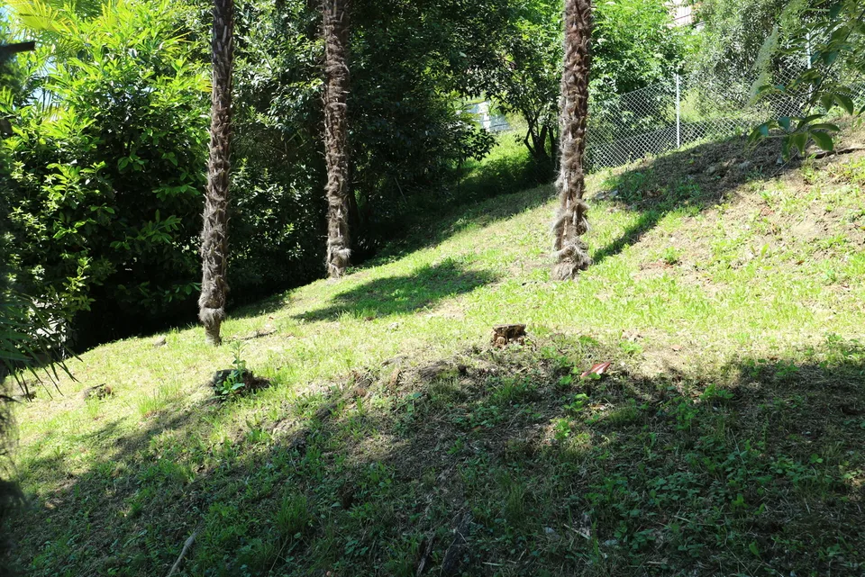 Lugano Panorama | TI – photo 3 sur 5