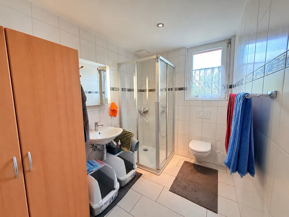 Spacious 4.5 room apartment in Aarwangen – photo 10 of 10