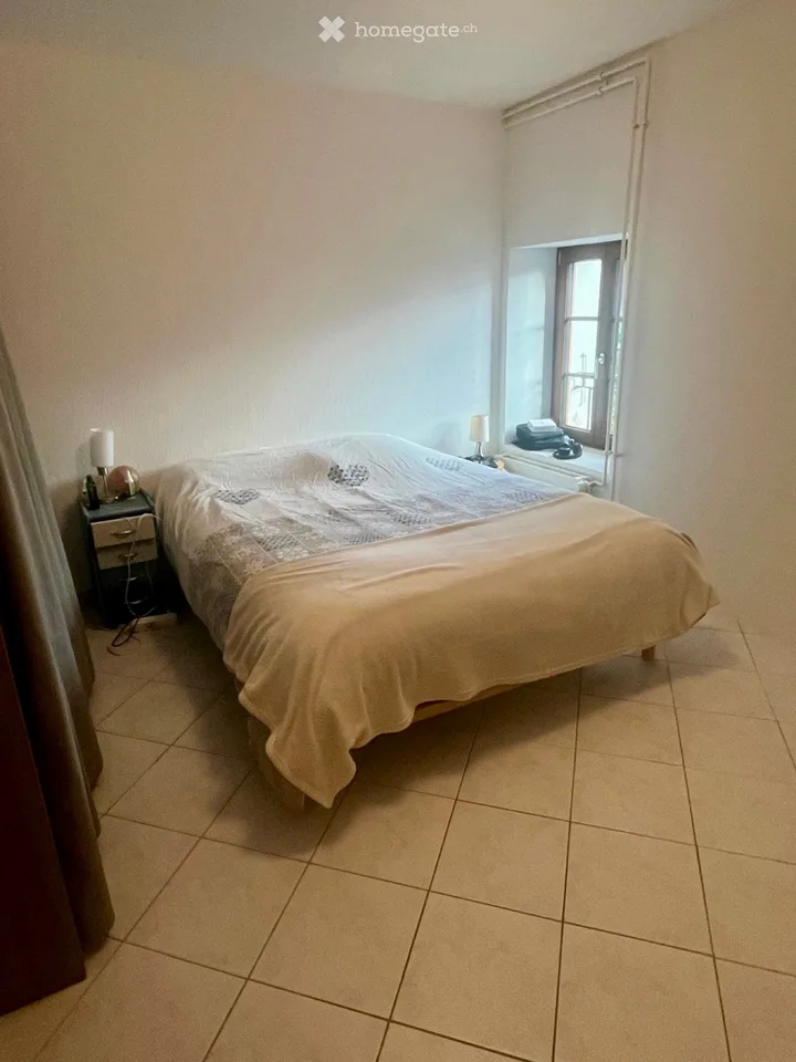 Bello appartamento di 5,5 locali