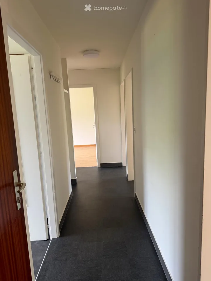 Helles 4-Zimmer-Apartement – Foto 4 von 5