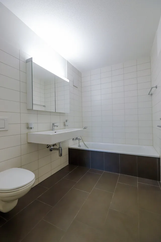 Modern 4.5-room apartment in Magden