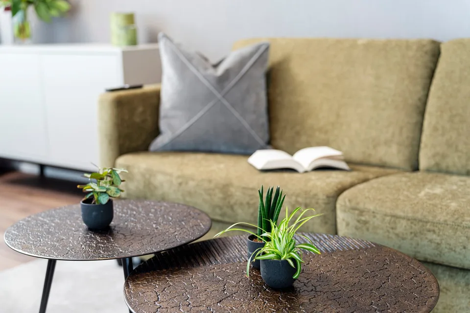 2-Zimmer Apartment Suite möbiliert in Cham (Zug), Papieri-Areal