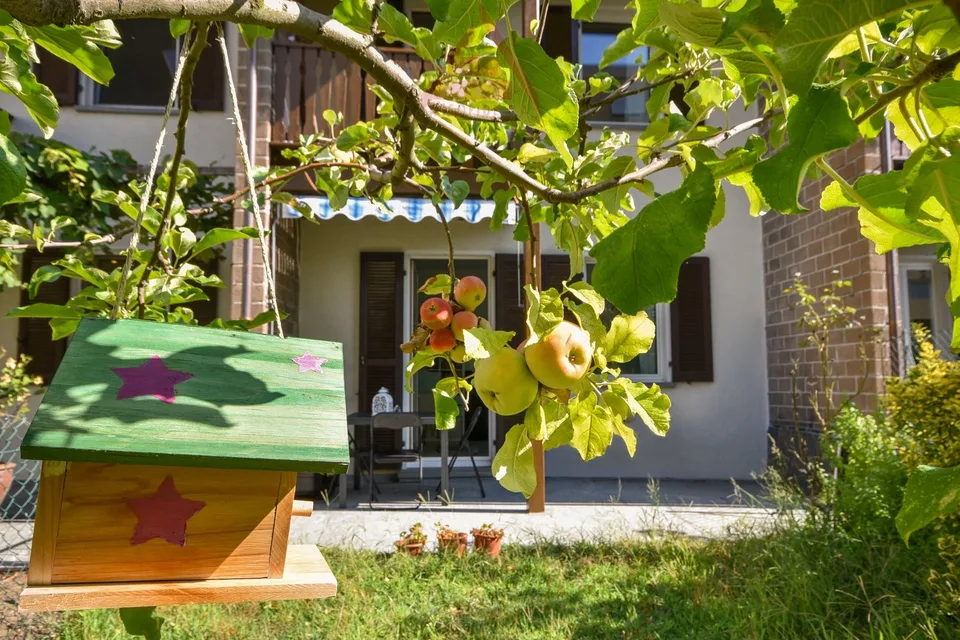 Deliziose casette a schiera a Solduno / Wunderschöne Reihenhäuser in Solduno – foto 11 di 14