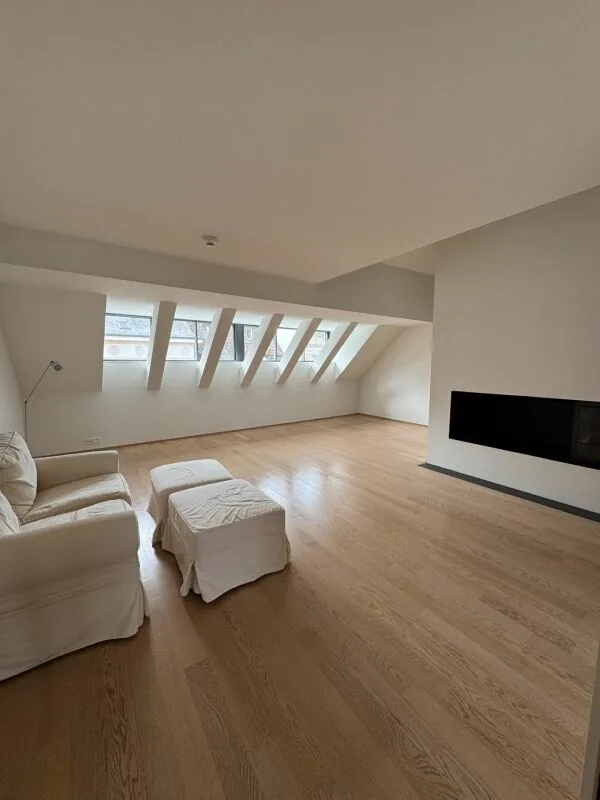 Una casa sul Reno - appartamento di maisonnette stiloso di 4 locali a Basilea – foto 2 di 12