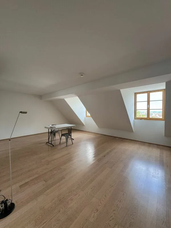 Una casa sul Reno - appartamento di maisonnette stiloso di 4 locali a Basilea – foto 5 di 12