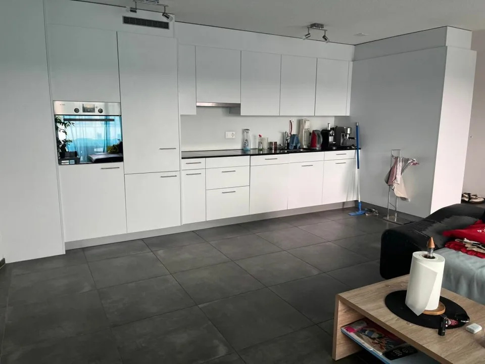 3.5 Room Apartment with Loggia