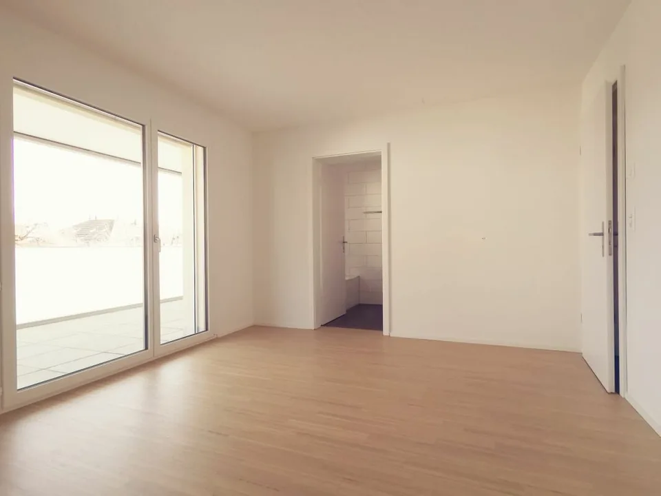 3.5 Room Apartment with Loggia