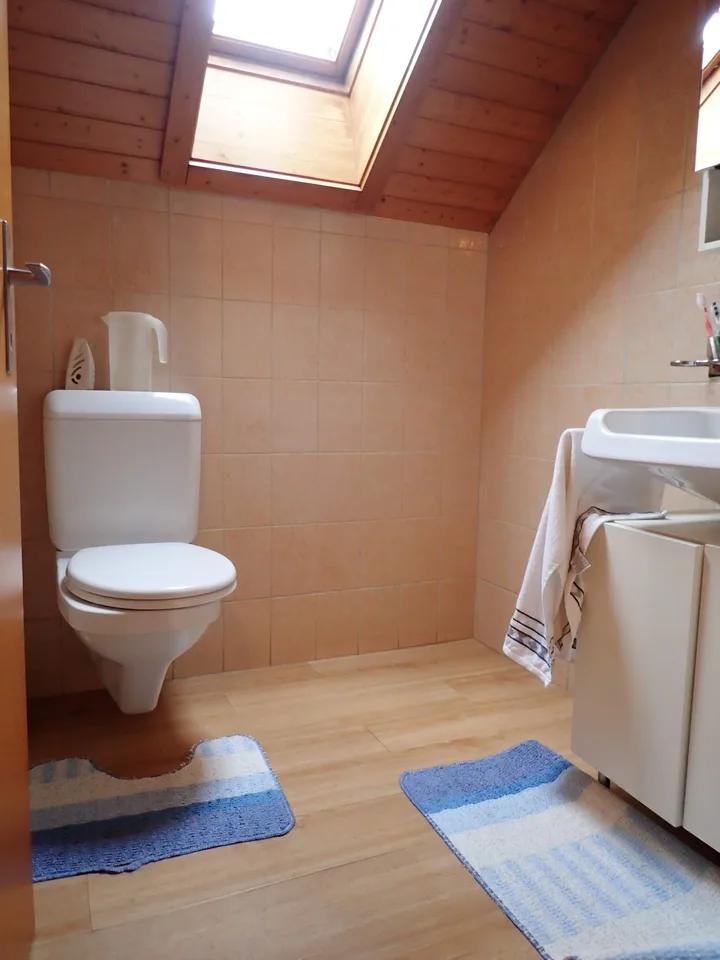 gemütliche 3.5-Zimmer-Dachwohnung mit Kamin