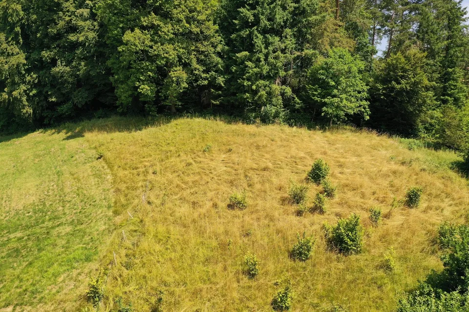 Terreno edificabile attraente in una posizione tranquilla – Uerkheim – foto 3 di 4