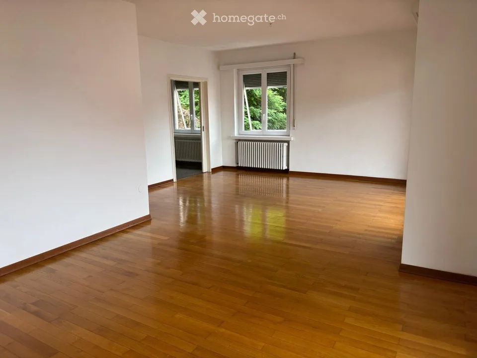 Affittasi appartamento con vista lago