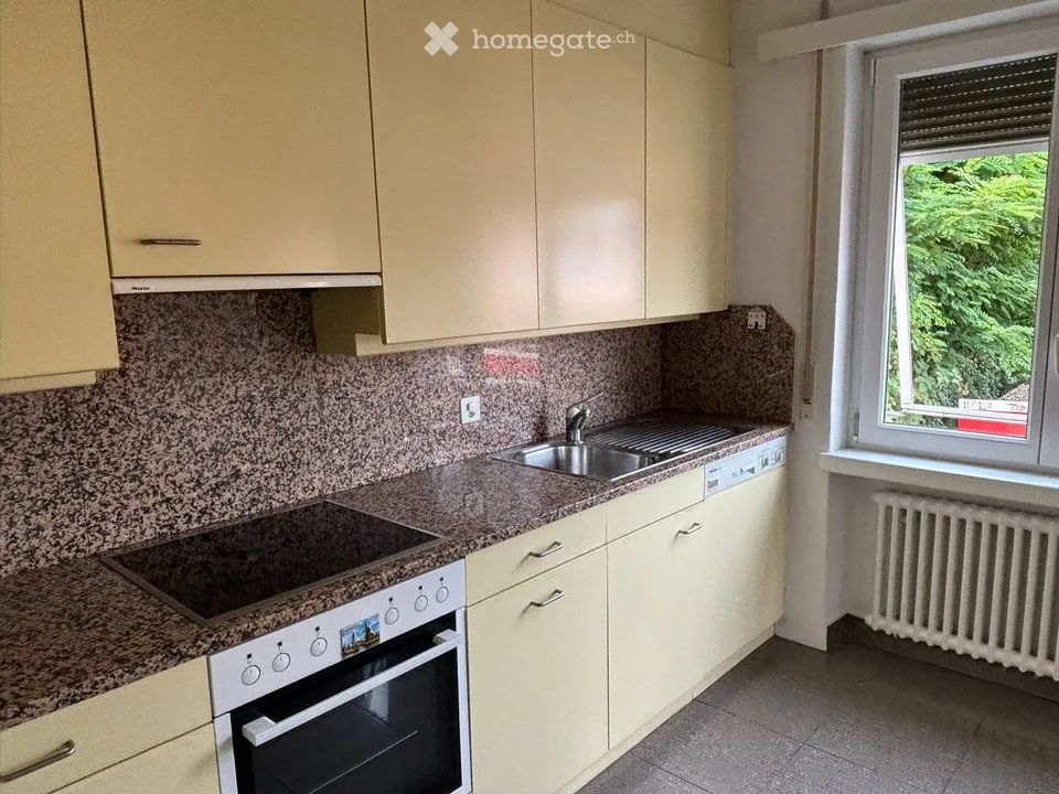 Affittasi appartamento con vista lago