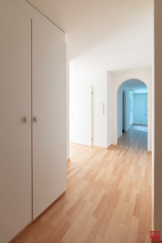 Beautiful single apartment looking for new tenant