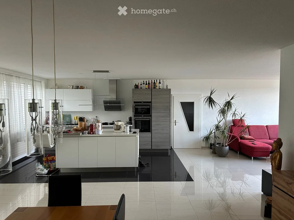 Appartement loft exceptionnel de 5,5 pièces avec grand jardin