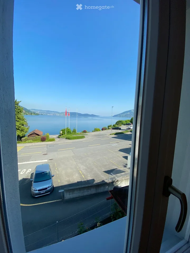 3-room old building apartment with lake view in 6415 Arth
