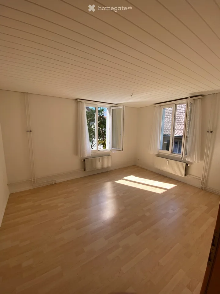 3-room old building apartment with lake view in 6415 Arth