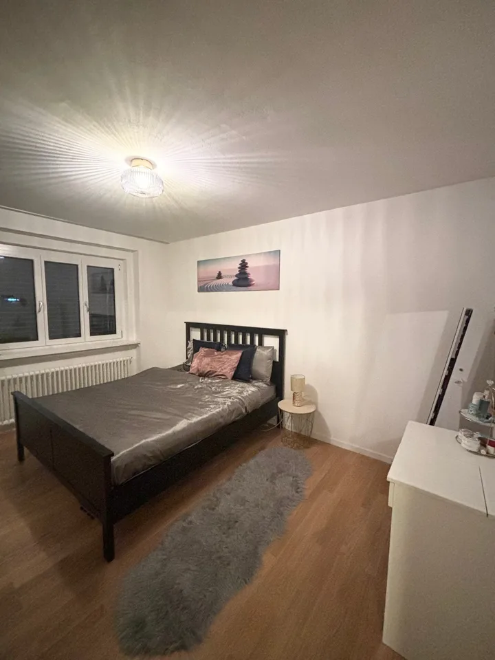 3 ZI-WOHNUNG IN ZÜRICH - KREIS 11 SEEBACH, MÖBLIERT, TEMPORÄR – Foto 3 von 6