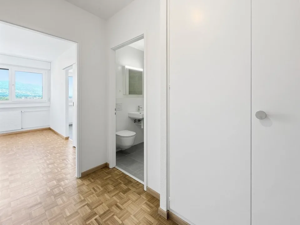 Bright apartment in Thônex - Campagne Genevoise