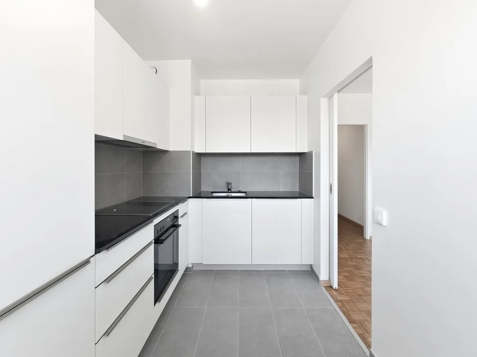 Bright apartment in Thônex - Campagne Genevoise