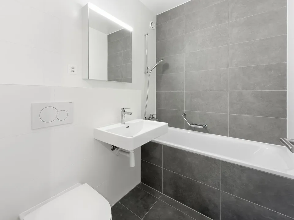 Bright apartment in Thônex - Campagne Genevoise