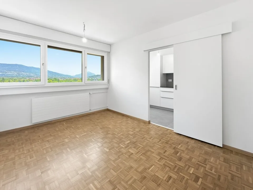 Bright apartment in Thônex - Campagne Genevoise