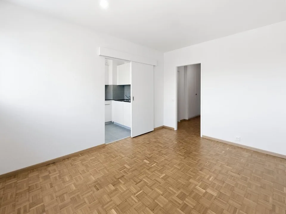 Bright apartment in Thônex - Campagne Genevoise