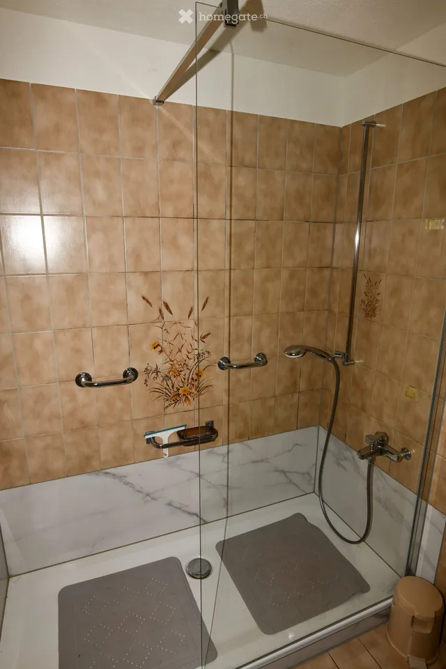 Appartement lumineux 4 pièces au rez-de-chaussée à Rickenbach b. Schwyz – disponible immédiatement