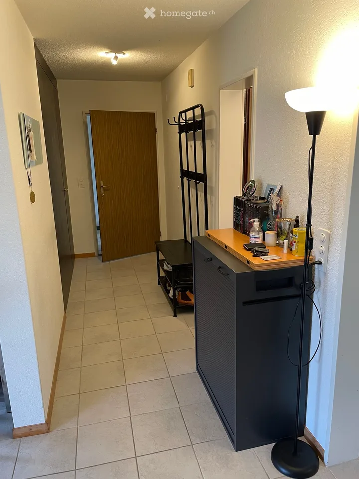 Bright 2.5-Room Apartment in Untersiggenthal