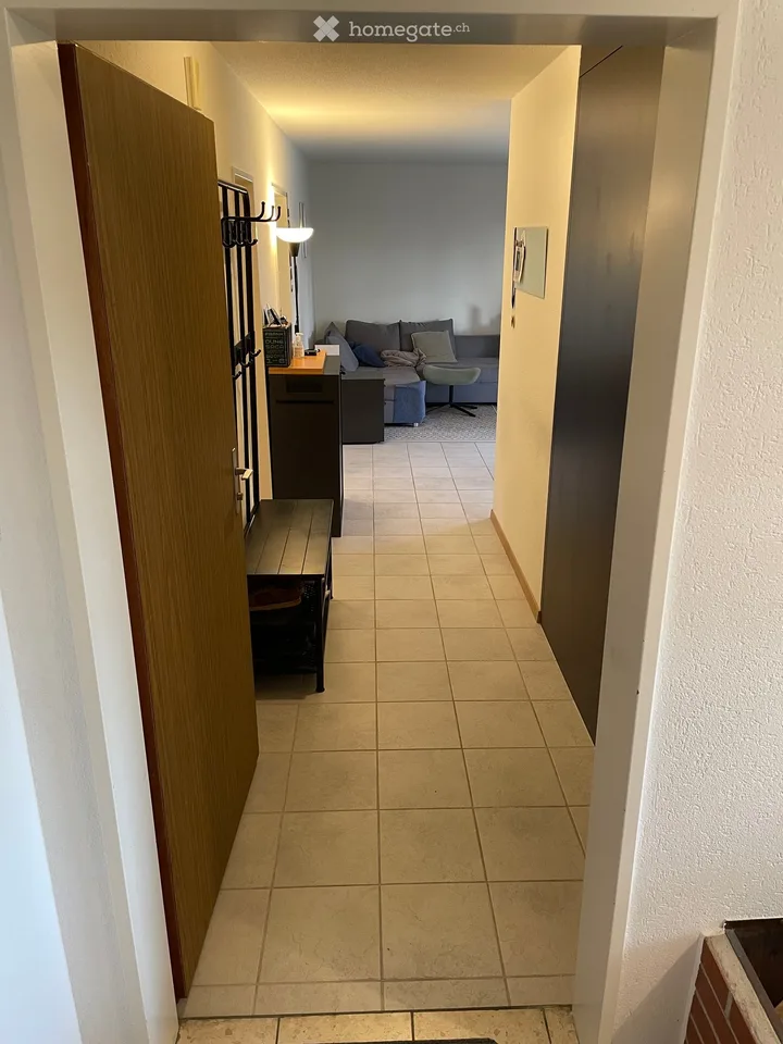 Bright 2.5-Room Apartment in Untersiggenthal