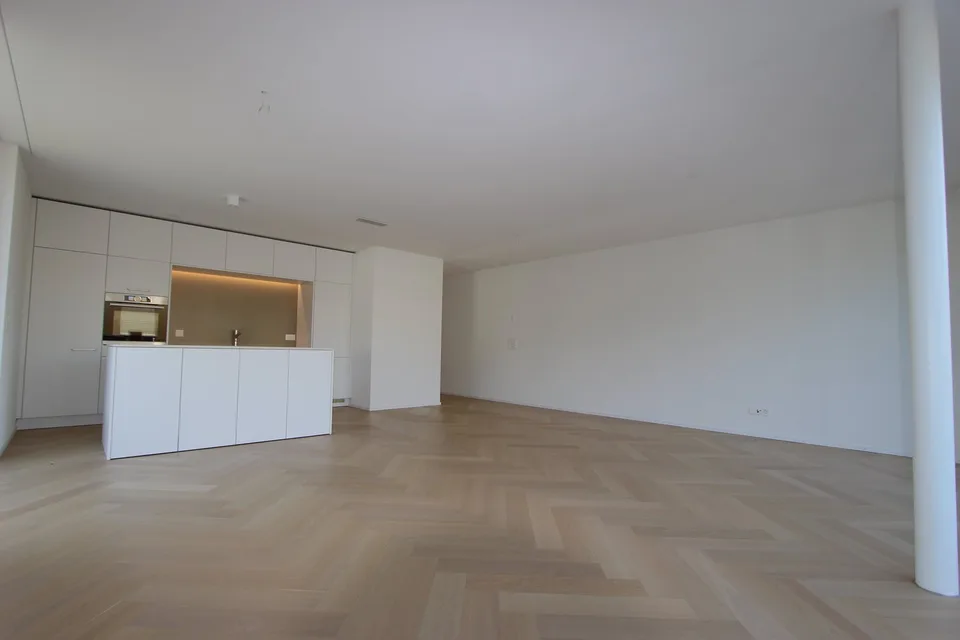 Appartamento attico unico di 4,5 locali con grande terrazza
