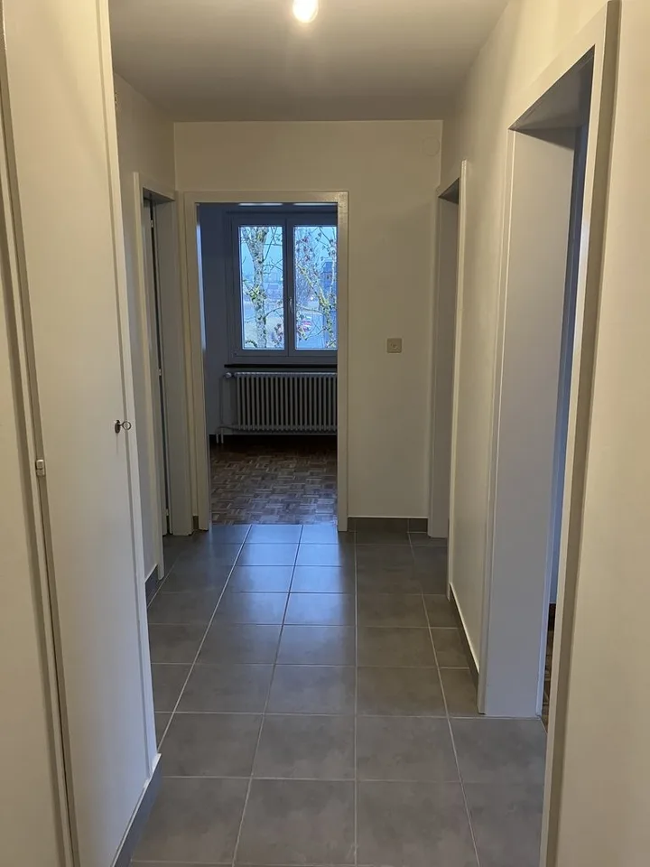 Joli appartement rénové avec balcon – photo 3 sur 7