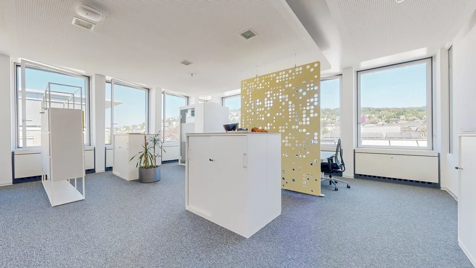 Grosszügige Büroflächen an zentraler Lage in Zürich-West flexibel anmietbar – Foto 8 von 12