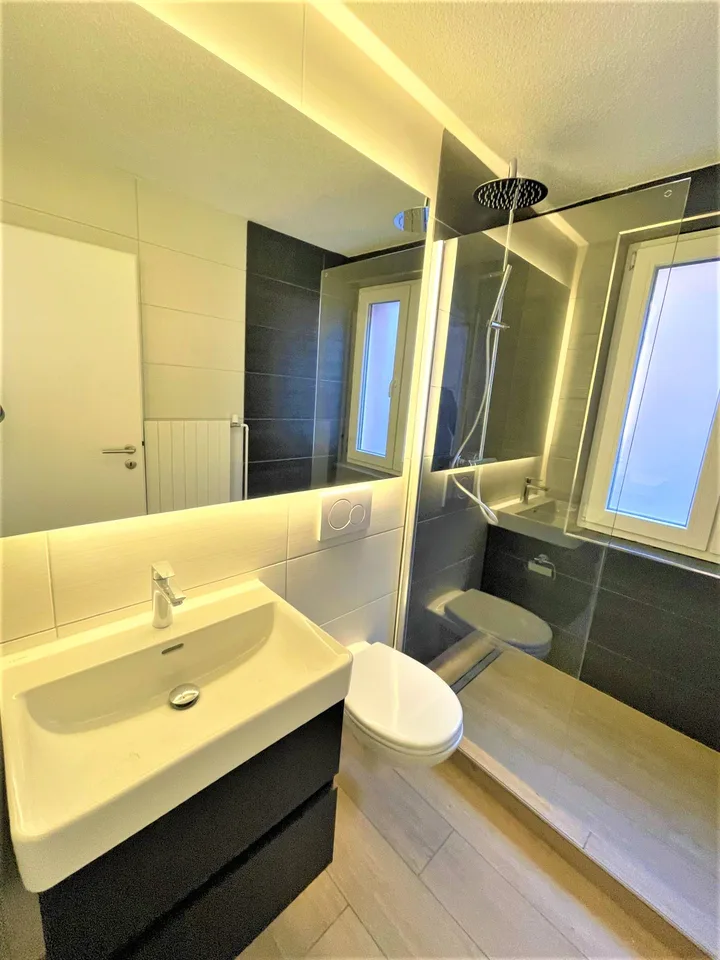 Charming 3.5-room ground-floor apartment in Wangen bei Olten – available immediately!