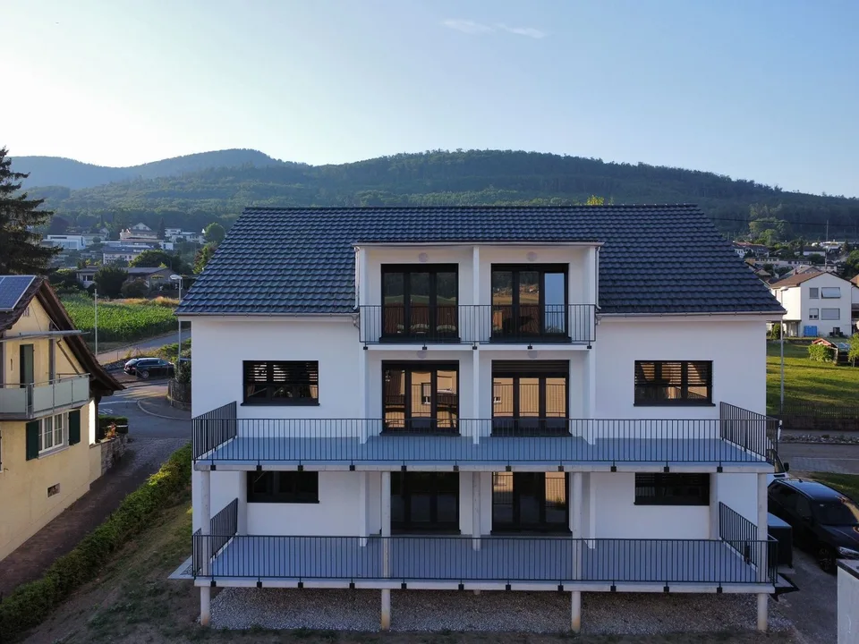 Charming 3.5-room ground-floor apartment in Wangen bei Olten – available immediately!