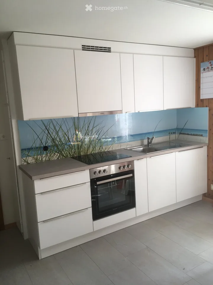 Appartamento arredato di 3,5 locali con cucina nuova