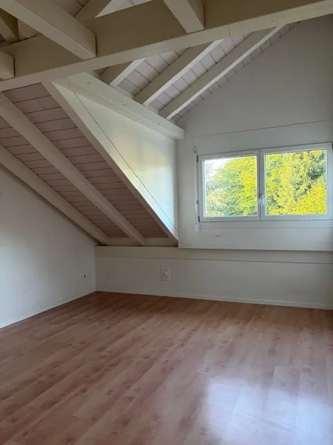 Appartement mansardé de 4,5 pièces spécial