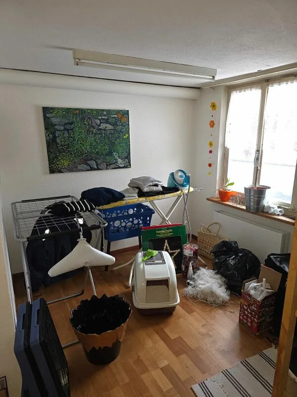 Grosszügige 4.5 Zimmer Wohnung