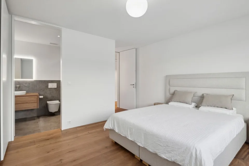 Minergie-P standard in owner-occupier standard, Poggenpohl kitchen and geothermal heating