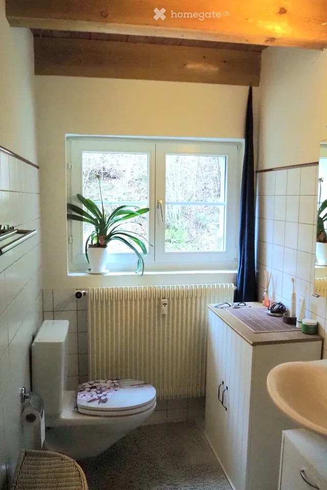 3 Room Apartment in Lütisburg (SG), furnished, temporary