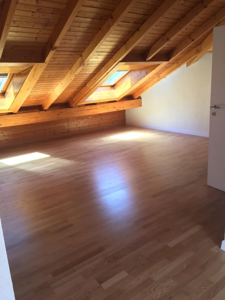 Beautiful Villa in Versoix in a quiet area