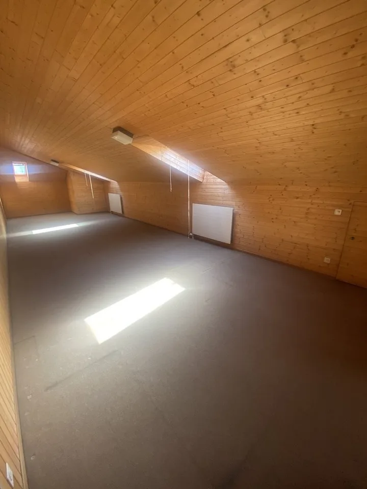 HOBBY ROOM IN THE ATTIC, MULTI-PURPOSE WITH ITS OWN WET CELL – photo 3 of 8