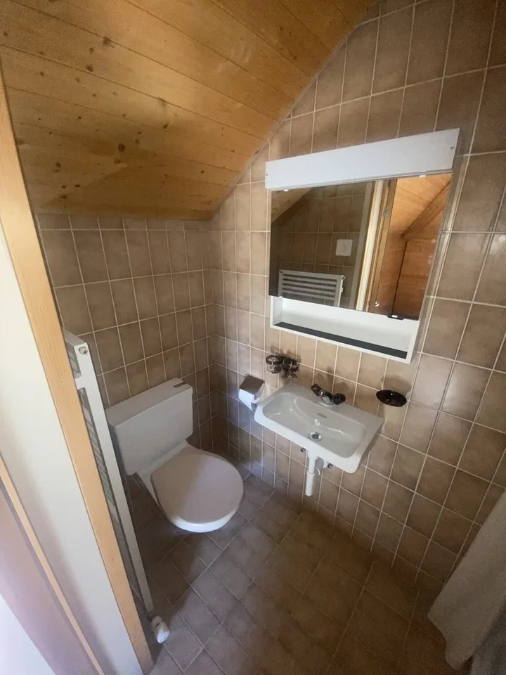 HOBBY ROOM IN THE ATTIC, MULTI-PURPOSE WITH ITS OWN WET CELL – photo 5 of 8