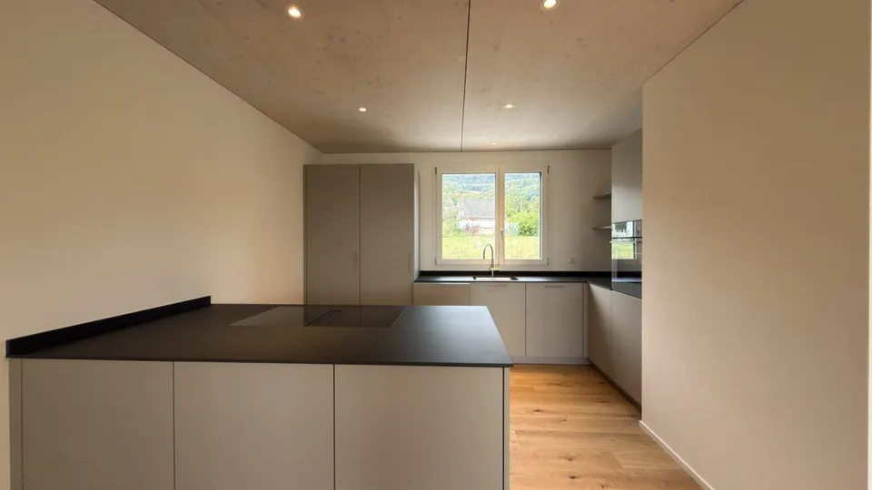 Maison mitoyenne neuve avec de nombreux extras à Oberbipp